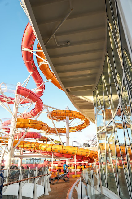 Waterslides | Oasis of the Seas Couple's Review