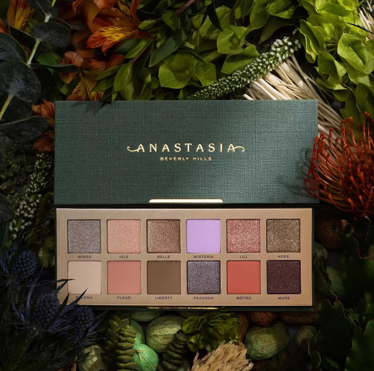 Nouveau coleccion ANastasia Beverly Hills palette