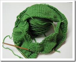 Fresh Spring 003