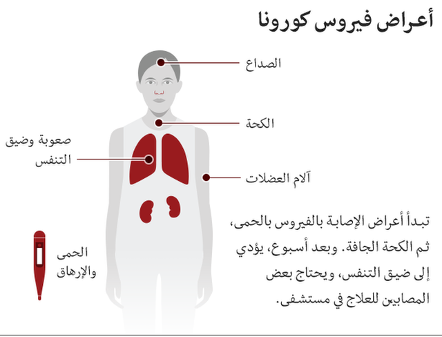  فيروس كورونا واخر التطورات فى مصر