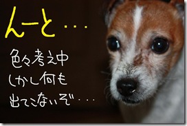 今日カズ１０１２１３　３