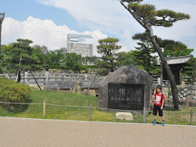 姫路城(素屋根)