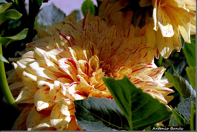 2 DSC_0030x1