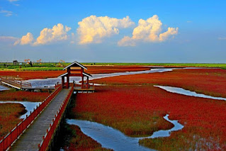 Red Sea Beach