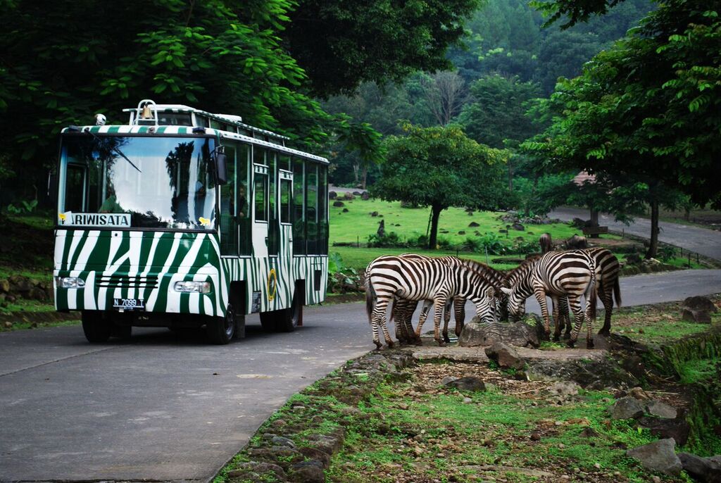 Wisata Alam Taman Safari 2 Prigen