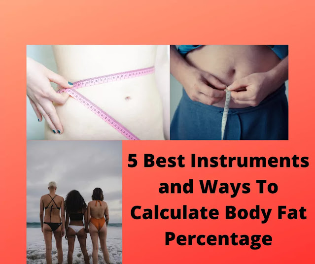 Calculate Body Fat Percentage