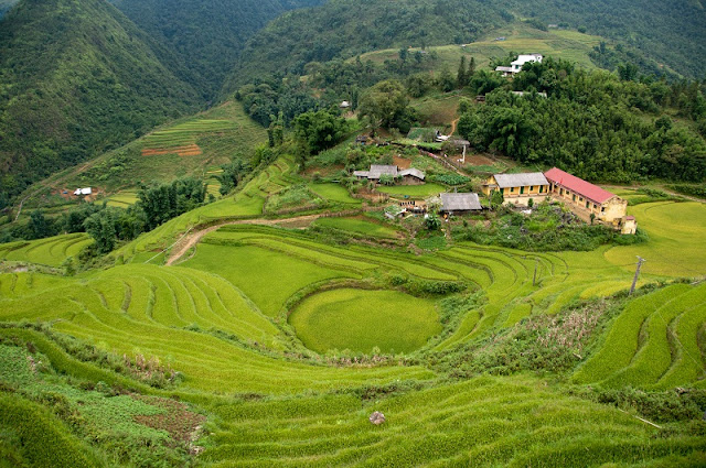 What is Ta Van Village in Sapa?