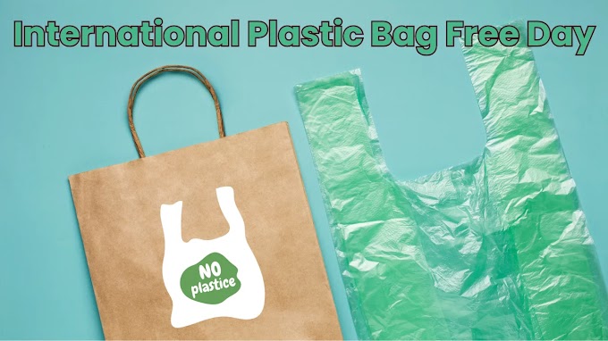 International Plastic Bag Free Day 2024: Theme, History and Significance