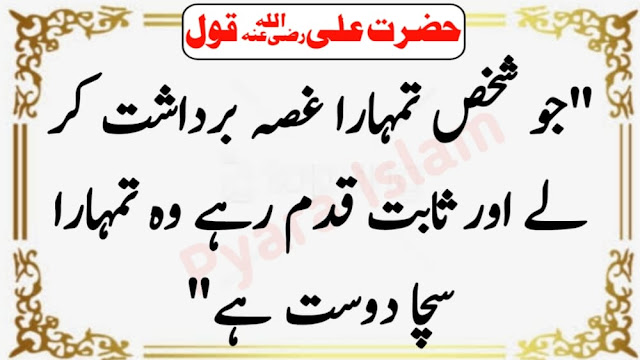 Hazrat Ali Quotes In Urdu