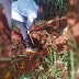 Vídeo: ossada humana é encontrada dentro de cova em zona rural na região 