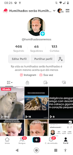 Tiktok seguidores