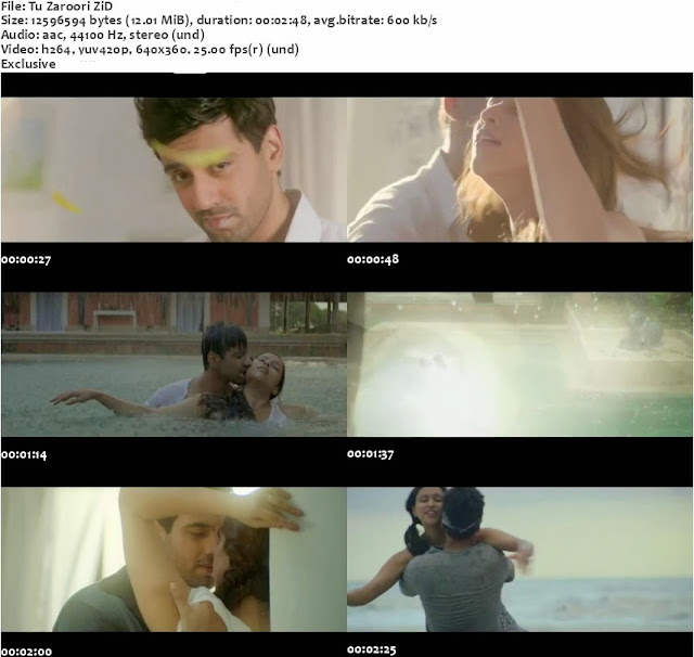 Tu Zaroori - ZiD (2014) Video Song By Sunidhi Chauhan & Sharib Sabri 1080p HD