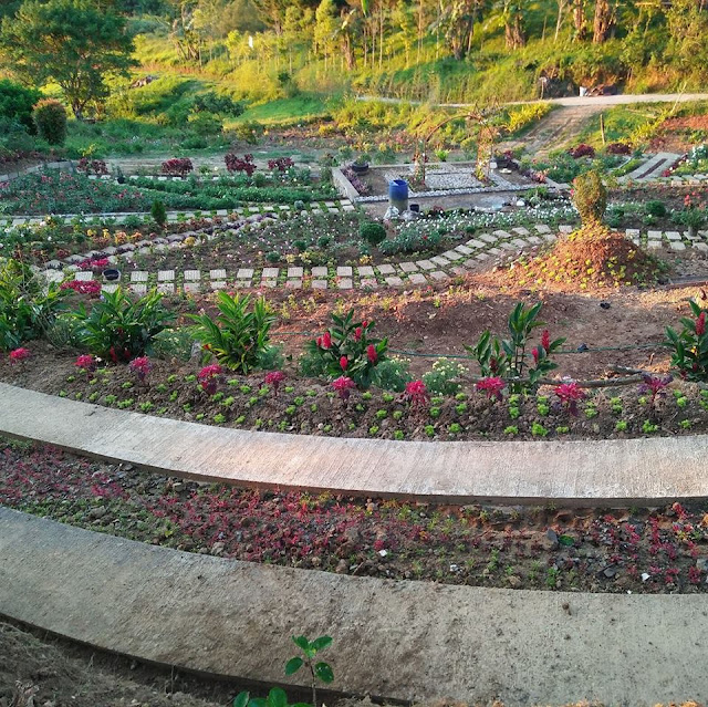 The garden photographed last April 16. Grabbed from Buwakan Ni Alejandra page.