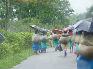 Weather News