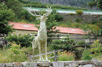 Café Portugal - PASSEIO DE JORNALISTAS - Quinta da Pentieira