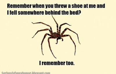 Spider remembers you throwing a shoe at it and it falling behind the bed!