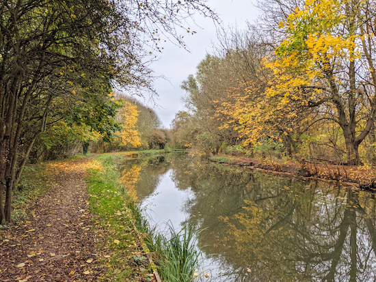 The River Stort (Navigation) along Walk 161