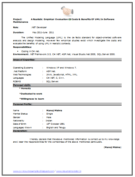 Over 10000 CV and Resume Samples with Free Download ...