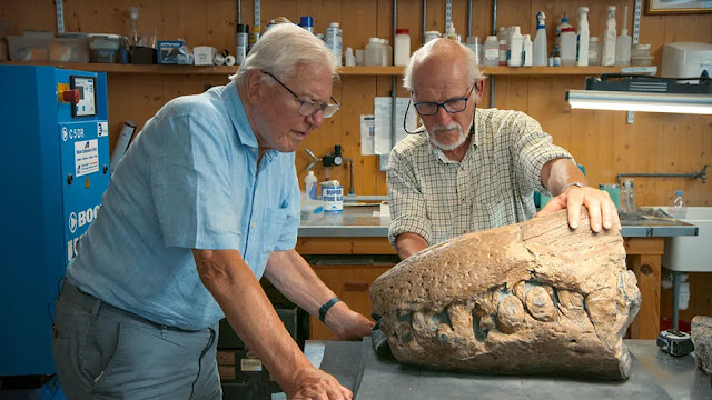 Ανακαλύφθηκε απολιθωμένο κρανίο ενός τεράστιου θαλάσσιου τέρατος