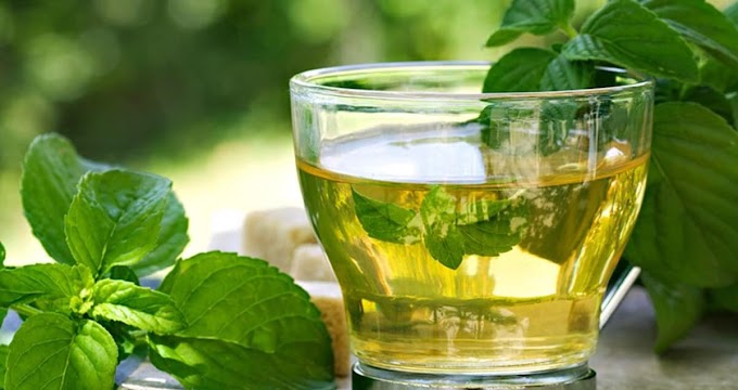 BENEFITS OF GREEN TEA FOR WEIGHT LOSS