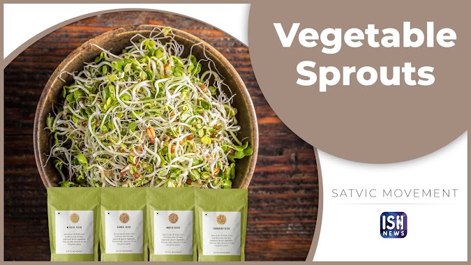 Benefits of Eating Vegetable Sprouts 