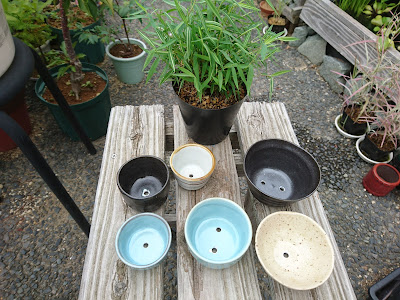 [コンプリート！] 竹 植木鉢 作り方 705375-竹 植木鉢 作り方