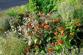 Edible landscaping, fall plantings, urban farming, gardening