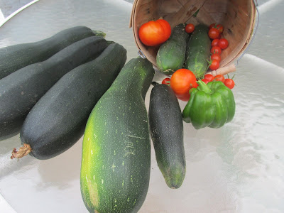Wow just one mornings harvest out of the garden!  A lot of money saved!  