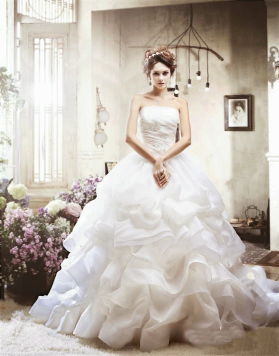 Koleksi Gaun Dress Pengantin Pesta  Wedding Dress Korean 