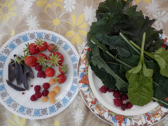 My homegrown harvest, June 2019.  from UK garden blogger secondhandsusie.blogspot.com #homegrownharvest #suburbanharvest #growyourown 