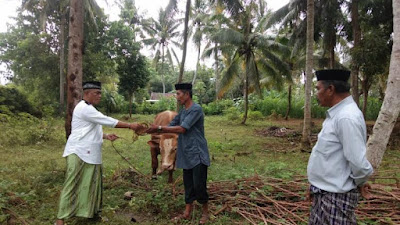 Di Hari Idul Adha 1442 H, Komunitas 99 Indonesia Potong Sembilan Sapi Kurban Untuk Dibagikan