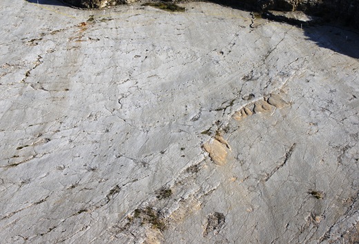 ourem  - pegadas dinossauros 11