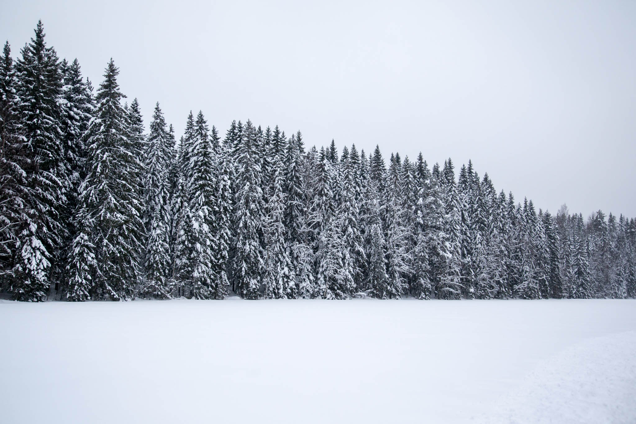 jäätie Alainen-Toriseva