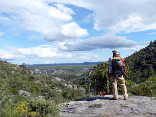 サン・ギエムの森 forêt domaniale de la commune de Saint-Guilhem-le-Désert 