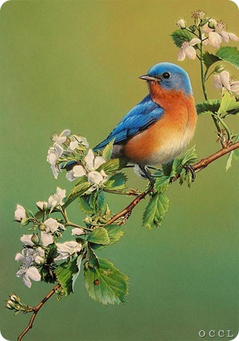 Prints-SpringAnnouncement