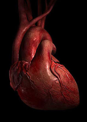 Heart Images