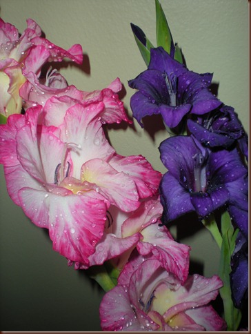 083