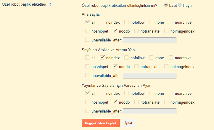 Özel robot başlık etiketleri
