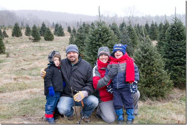 Xmastree-18