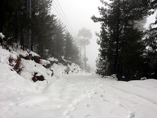 murree with snow
