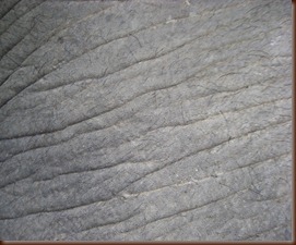 CIMG8566