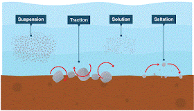 saltation and traction