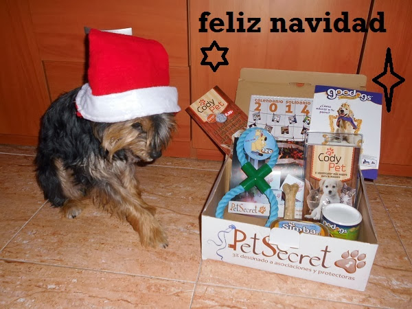 petsecret diciembre