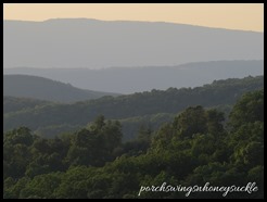 IMG_2173