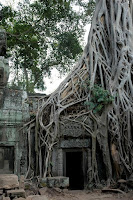 Ta Prohm