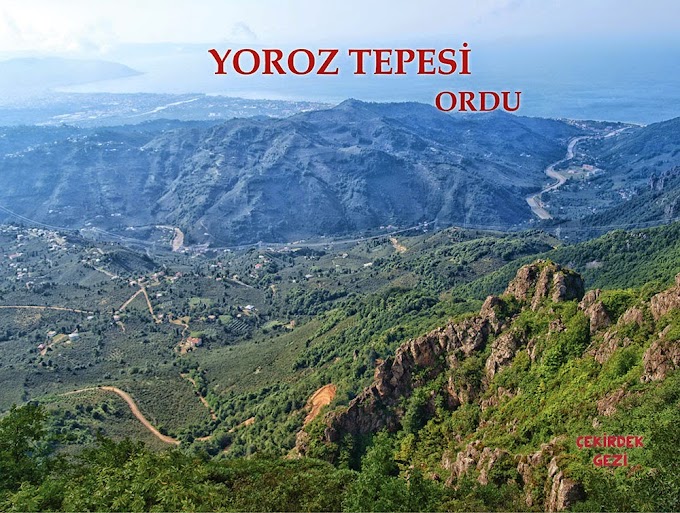 YOROZ TEPESİ, ORDU