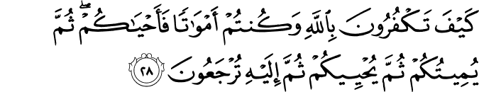 Surat Al-Baqarah Ayat 28