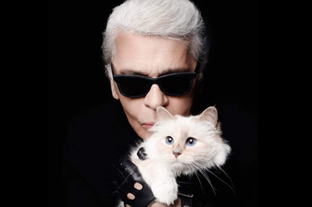 After his death .. Karl Lagerfeld leaves his fortune for his pampered cat "choupette"