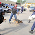 Ondo 2020: NSCDC deploys 7,079 personnel, sniffer dogs