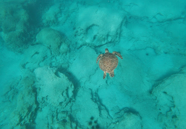 Konnos, Cyprus